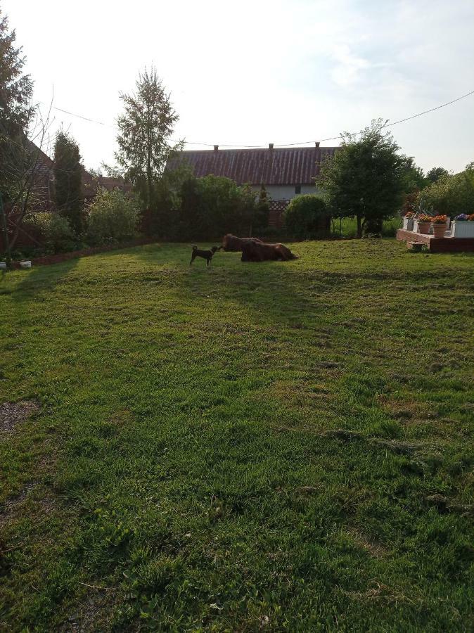 B&B Zrodlana 46 Olszyna  Exterior foto